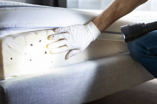 Best Best Pest Control Companies  in Landisville, PA