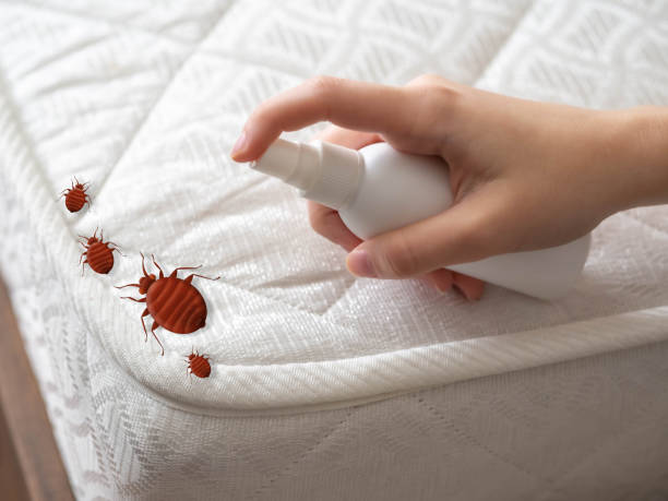 Best Flea Control Services  in Landisville, PA