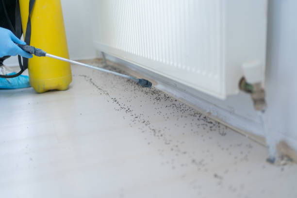 Best Mosquito Control Services  in Landisville, PA