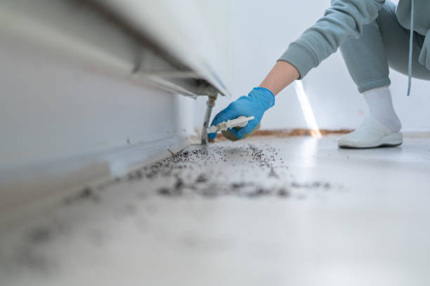 Best Pest Removal Services  in Landisville, PA