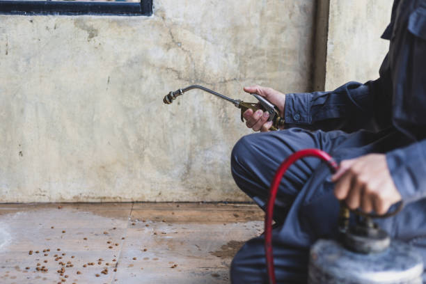 Best Termite Control Services  in Landisville, PA